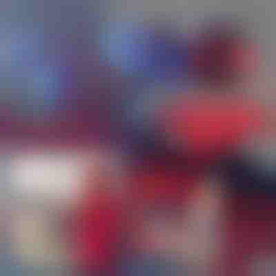 Ispaljivač paukove mreže SPIDERGLOVE