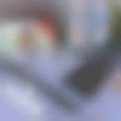 Štitnik za sunce za auto i prozor | SUNGUARD