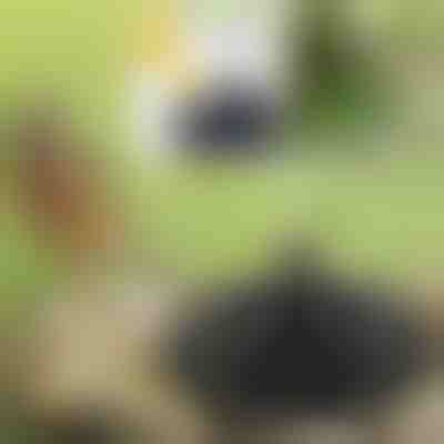 Oživite svoj vrt uz čarobnu solarnu fontanu | FONTANA