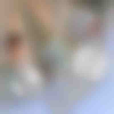 Traka za popravak mreže protiv komaraca | INSECTAPE