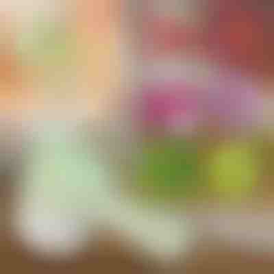 4-u-1 ručni električni sjeckalica | ROTOCHOP