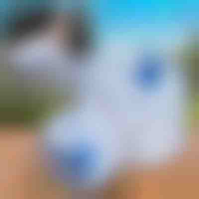 Sklopivi spremnik za vodu (10 L) | AQUATANK