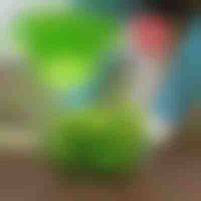 Držite štetočine podalje uz VEGISHIELD (10 kom)