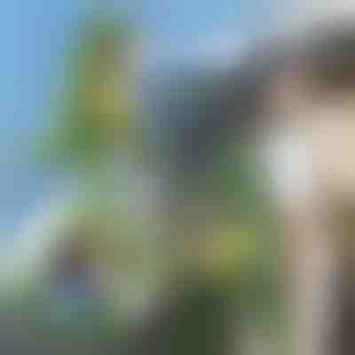 3D ruksak u obliku dinosaura | DINOBACK