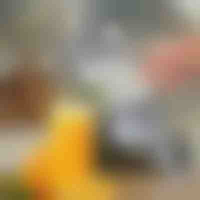 Ručni sokovnik | JUVOPRESS