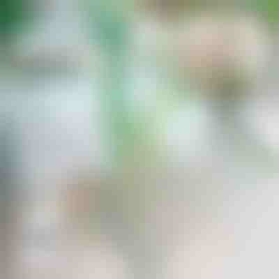 Zaustavljač padanja biljaka | ROOTZI