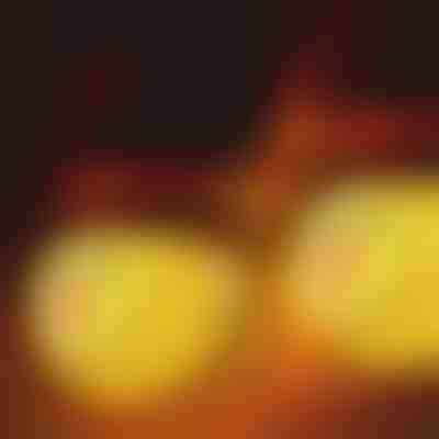 Navlake za svjetla u obliku snjegovića | SNOWKO