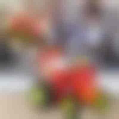 Izvodite vratolomije sa skačućim traktorom | JUMPICAR