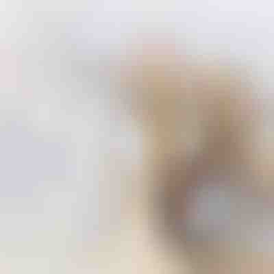 Posuda za čuvanje hrane | DIVERINO