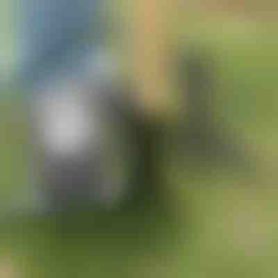 Alat za čupanje korova | ROOTNIK