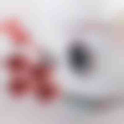 Set za premještanje namještaja s 4 klizača i podizačem | LIFTROLLERS