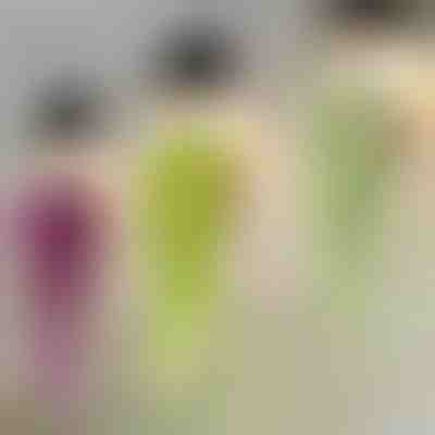 Ukrasna biljka visilica | IVYORA