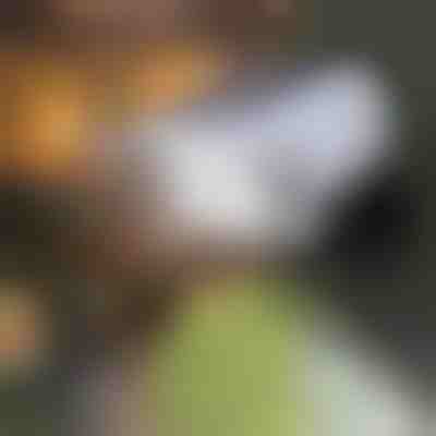 solarno svjetlo sa senzorom pokreta | LUMACAM