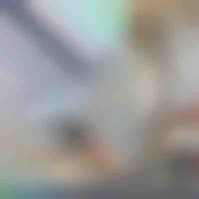 Dekorativna i zaštitna folija za prozore | PRISMWRAP