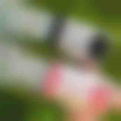 Pištolj za mjehuriće s 69 otvora LED | BUBBLEPUFF