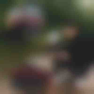 Sklopiva kanta za ribolov | RIBETINA