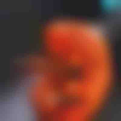 Oštrač svrdla za precizne rubove | BUSPRA