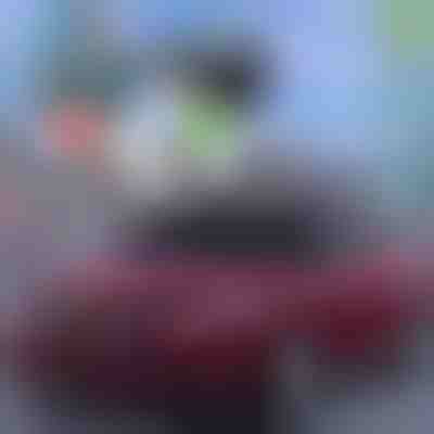 Najbolja ljetna zaštita za automobile! | CARCOVER