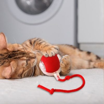 Igračka za kućne ljubimce koja se pomiče na dodir | GATOPLAY