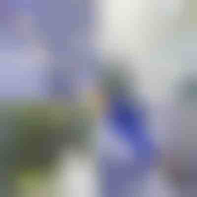 Nastavak za visokotlačno čišćenje | WATERJET