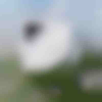 Bez napora čišćenje prozora | WINDOWSWIPE