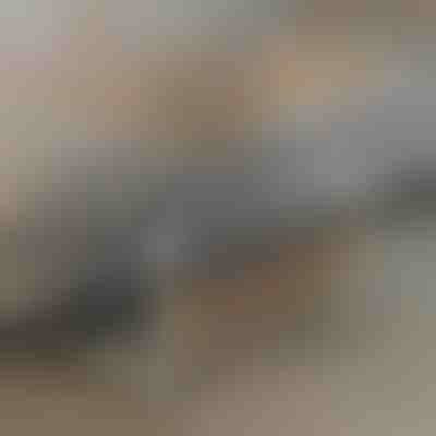 Prijenosni stol | EVOSTUL