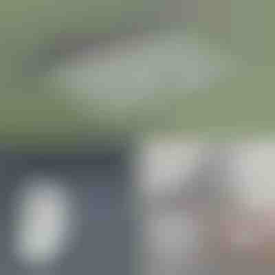 Samoljepljivi sklopivi stalak za sušenje odjeće | VENTIDRY