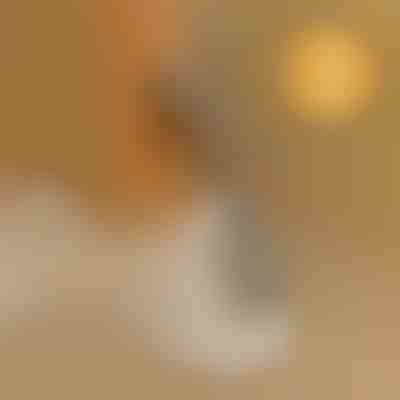 Pomagalo za obuvanje bez saginjanja | SHOEVA