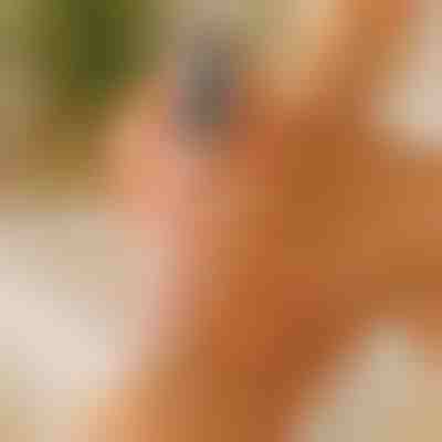 Glatka i mekana stopala | PEDIVIA