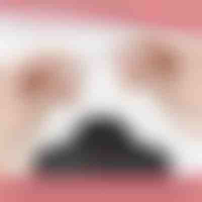 Magnetska kopča za ogrlicu (12 kom) | MAGILINK