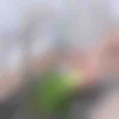 Napredni ugljični filter za slavinu | CHARFILTER