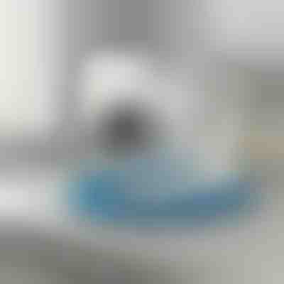 Fleksibilni čistač ventilacijskog otvora sušilice | DRYKIT