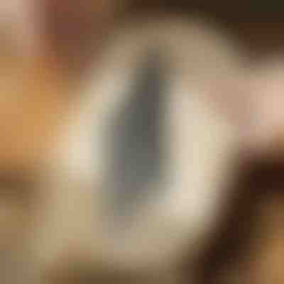 Listovi ubodne pile za rezanje u ravnini (5 kom) | JIGSPRO