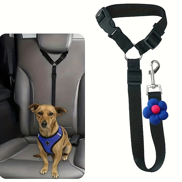 PETBELT-3831127659273-N-1__140726